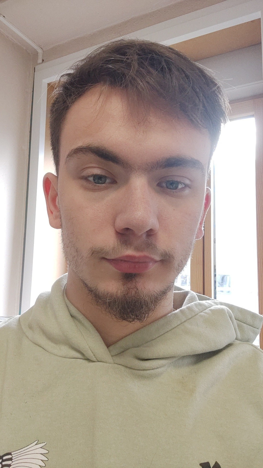 Perfil de Camerone