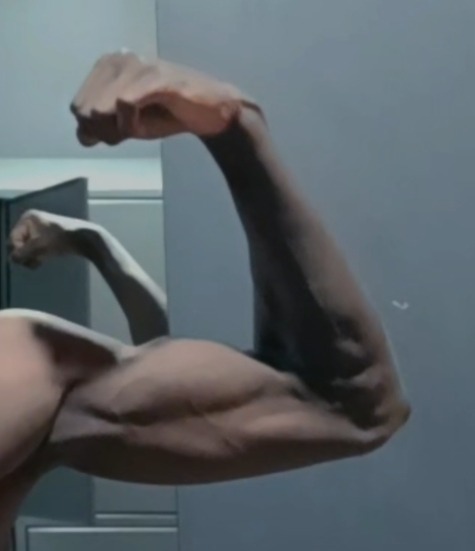 Perfil de Dalil