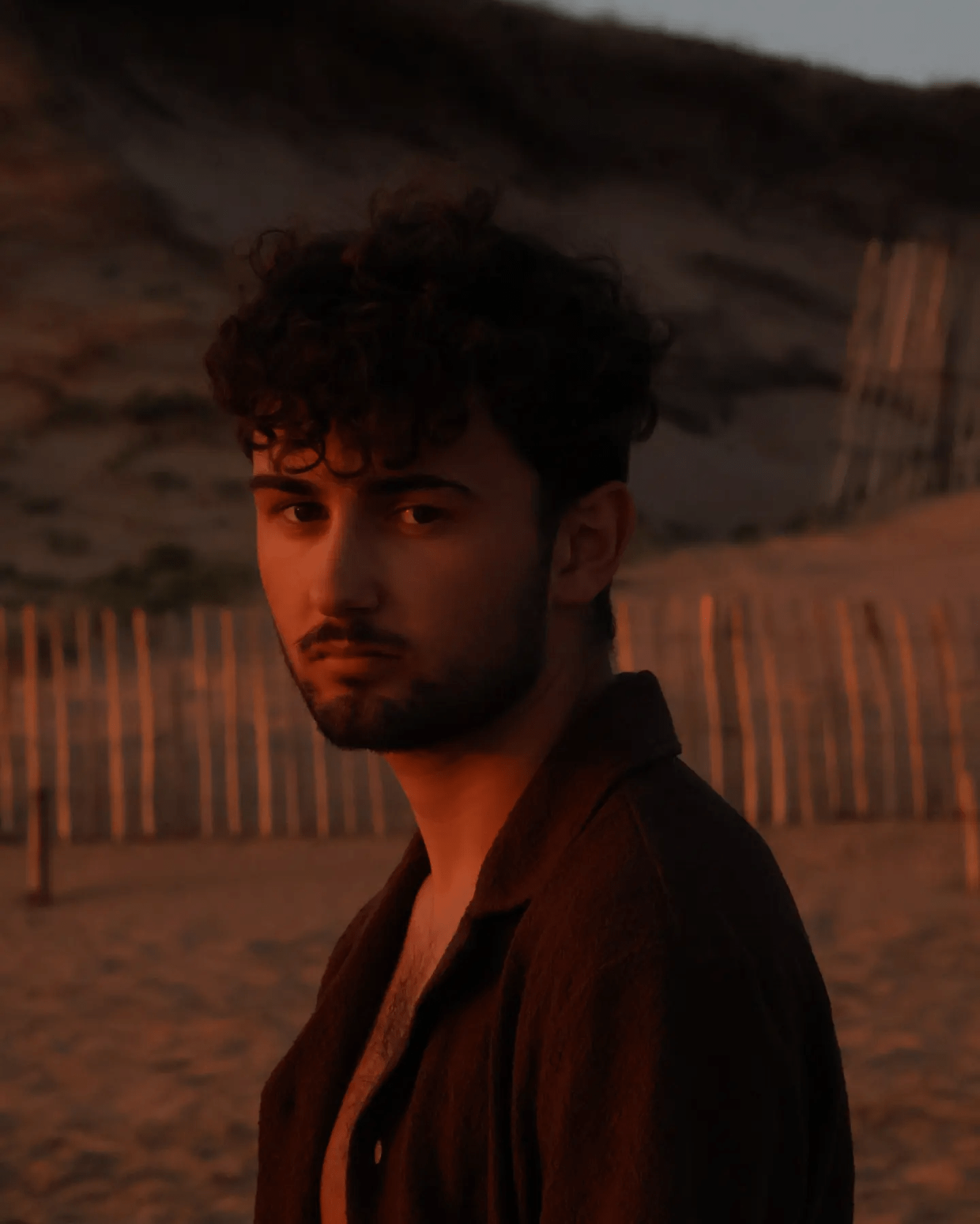 Perfil de Louis-ferdinand