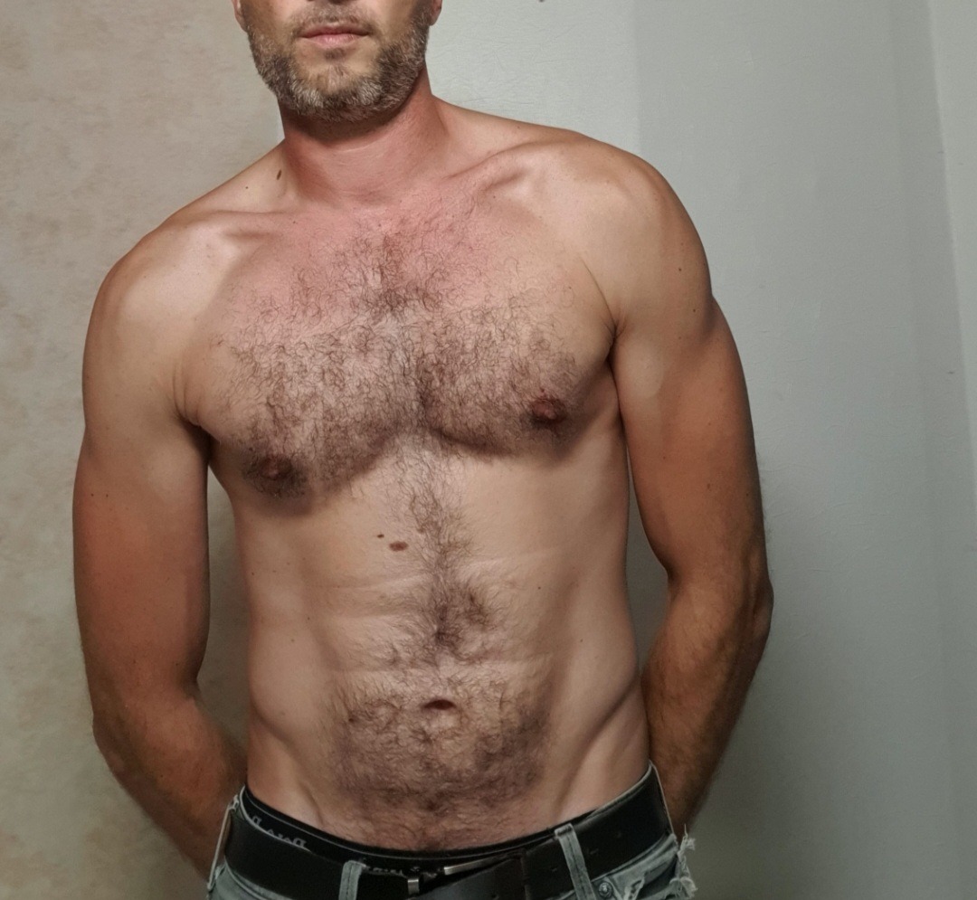 Perfil de Seid