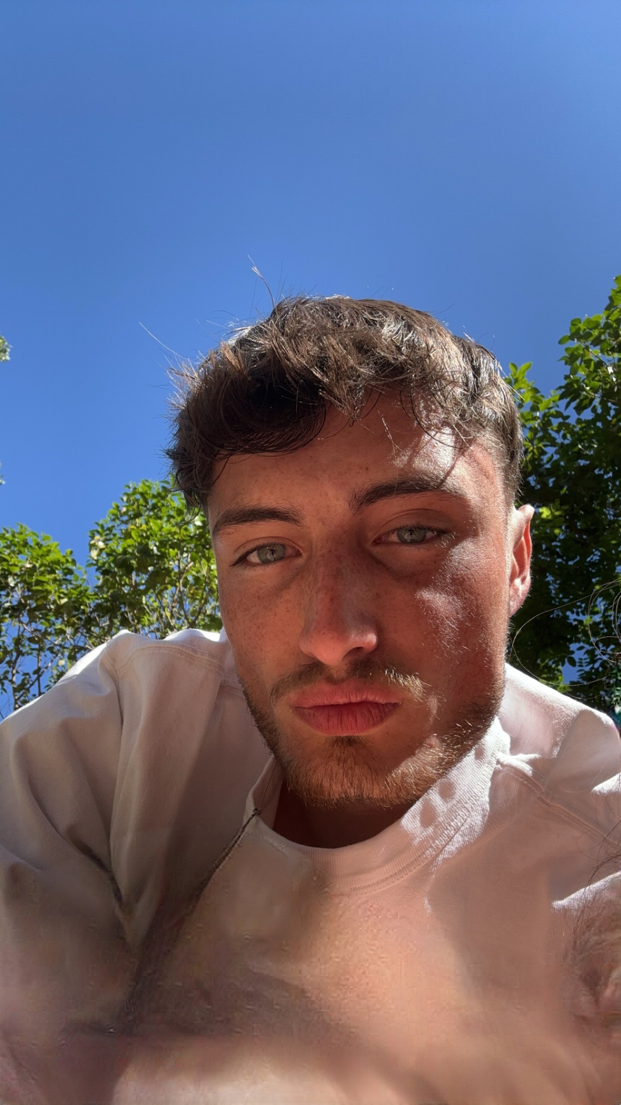 Perfil de Alem